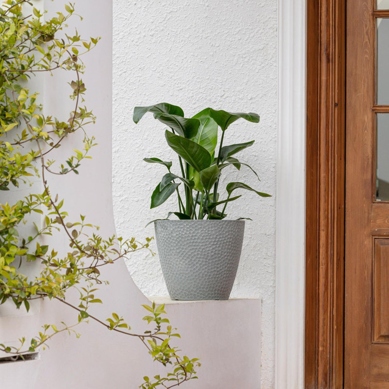 Pot à fleurs en résine Abiella, Gris orage, 1, H 11,8 po x l 14 po x P 14 po