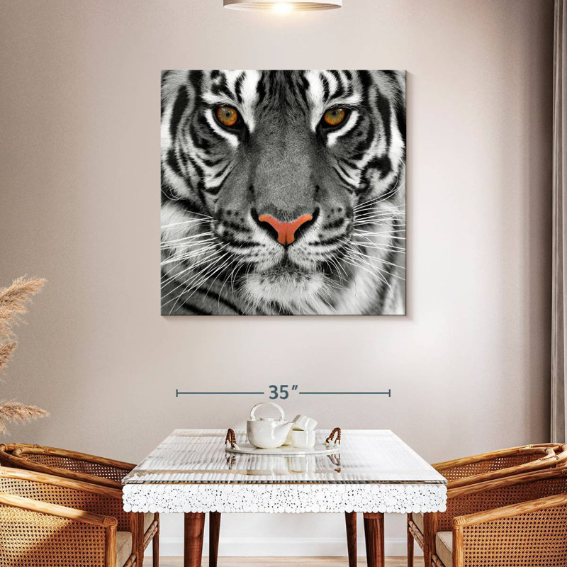 Brampt Staring Tiger, 39" H x 39" W
