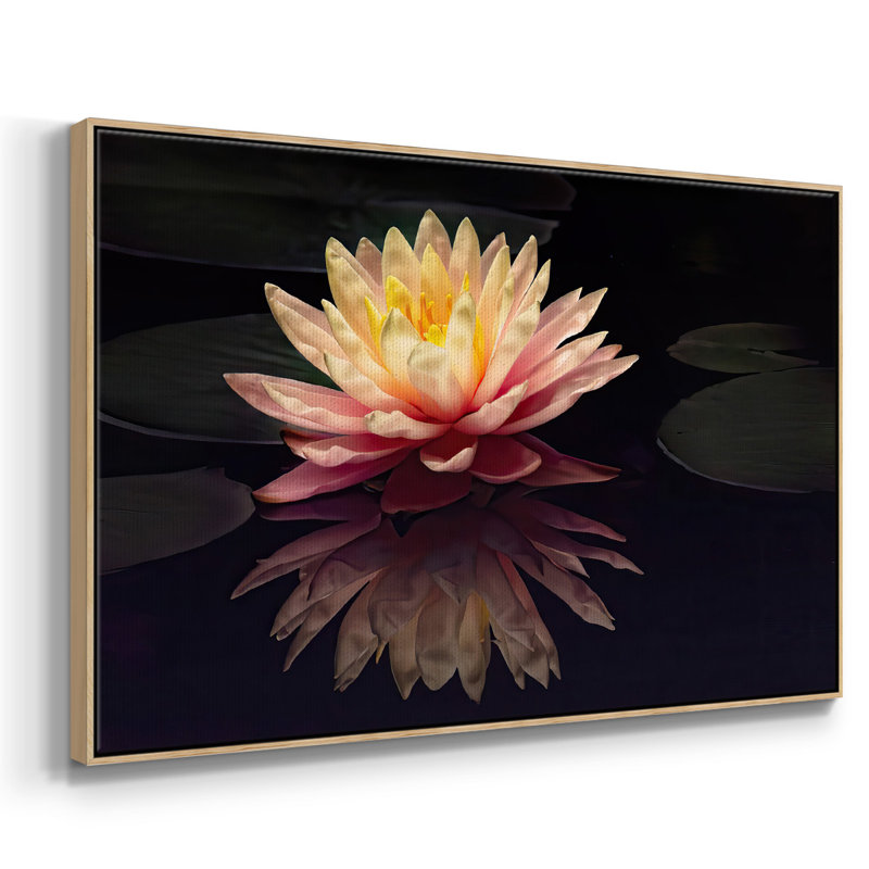 Photographie, étude, nénuphar encadré sur toile, H 25 po x l 37 po x P 2 po, Naturel
