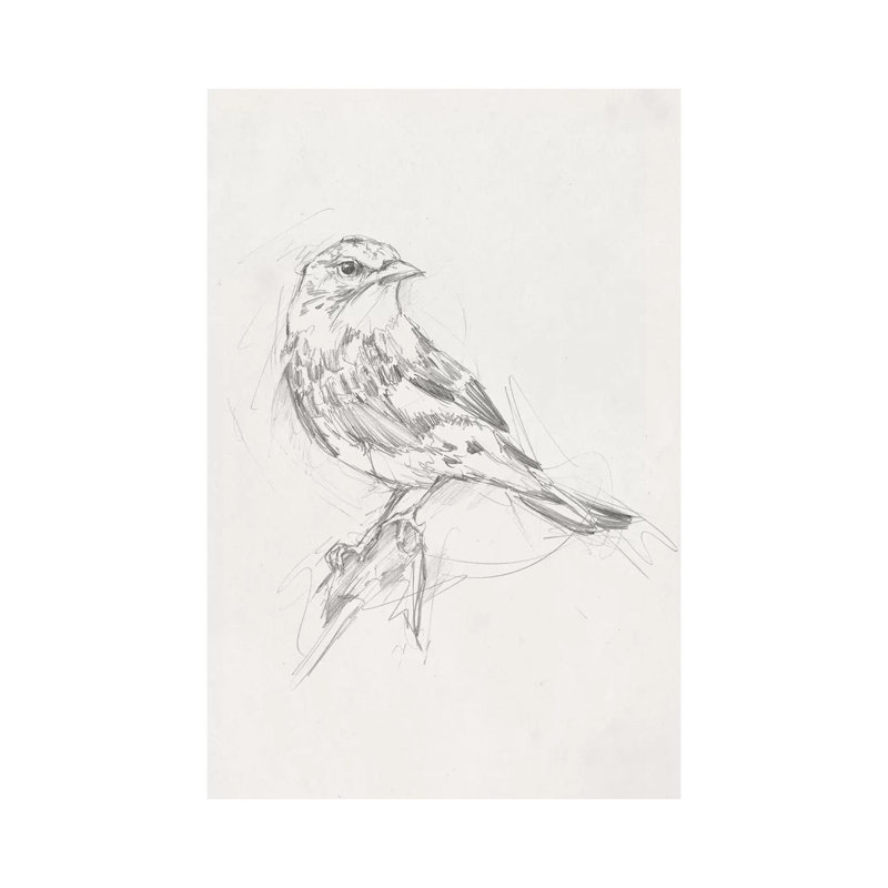 «Avian Study I» par Ethan Harper - reproduction d'art, H 26 po x l 18 po x 1,5 po, Pas de tapis, Toile tendue