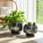 Decorative Metal Planters With Mirrored Mosaic Surface Durable Indoor Outdoor Display Containers Modern Accent Home And Garden Decor Stylish Plant Holder Set Of 2-243939792-243330111
