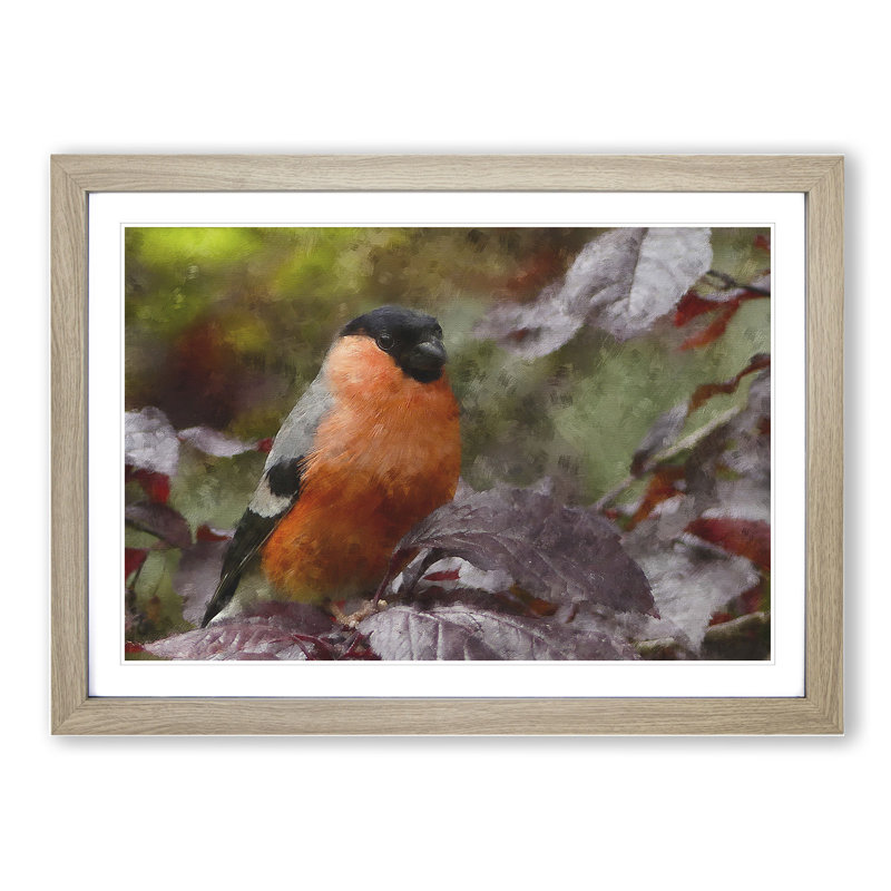 Bullfinch Bird - Picture Frame Painting, 48cm H x 65cm W x 2cm D, Oak Framed