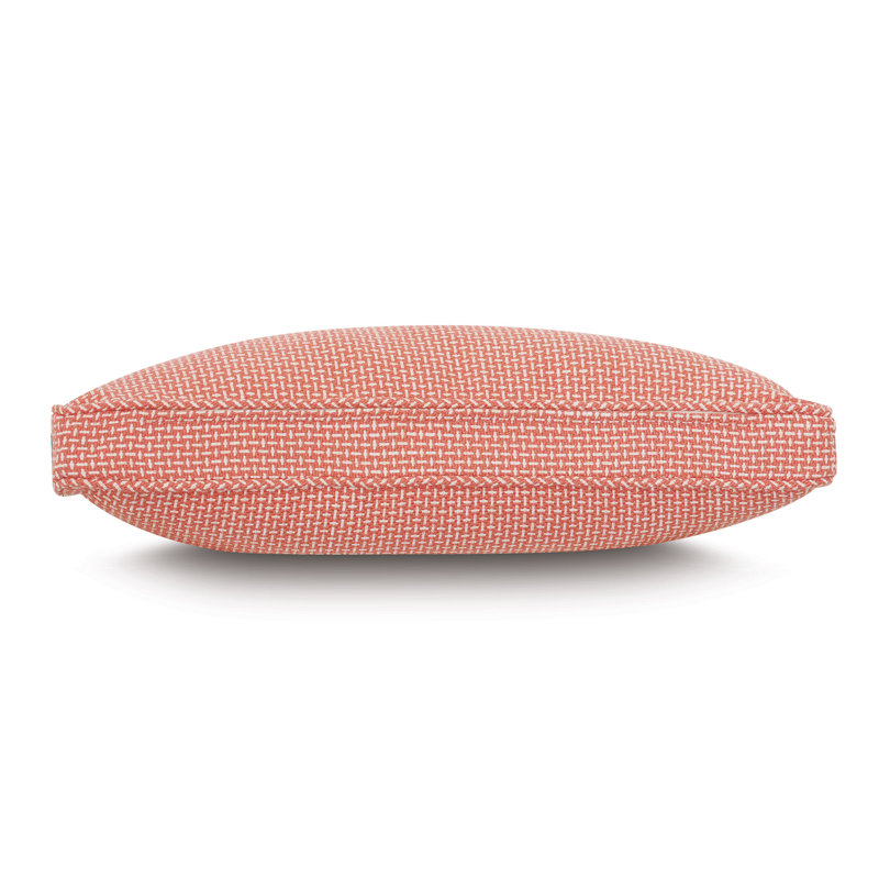 Junonia Novelty Pillow Cover & Insert