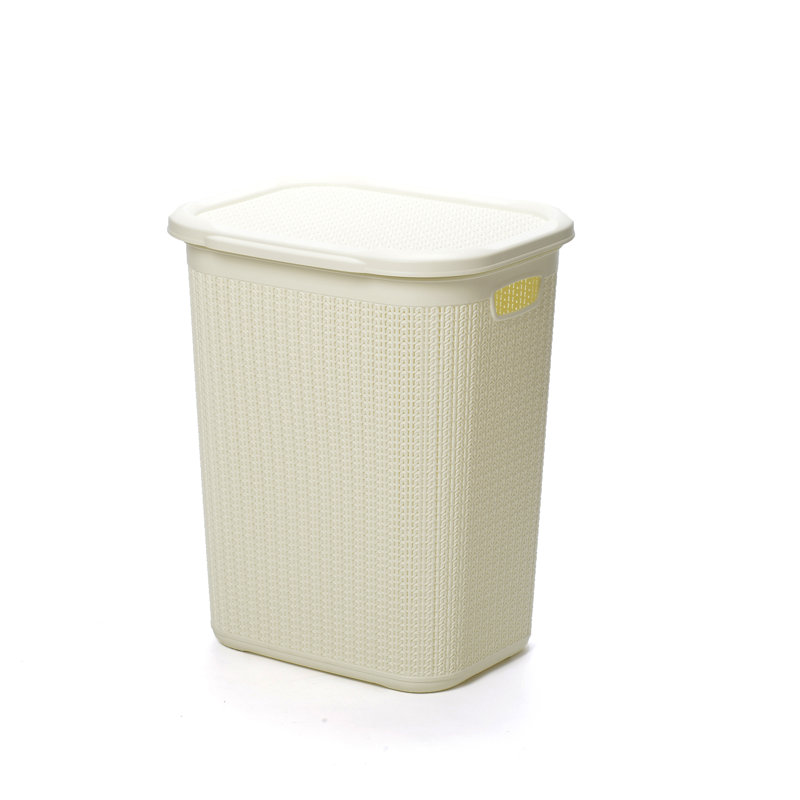 Plastic Laundry Sorter, White