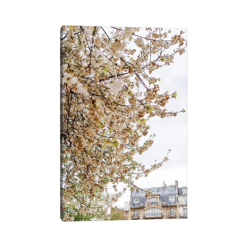 Paris Garden 1 Piece Wall Art on Canvas, 30.48cm H x 20.32cm W x 1.91cm D, Wrapped Canvas