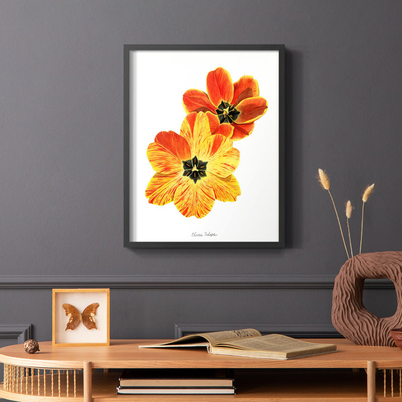 «Olive's Tulips II», reproduction encadrée - bois massif, Cadre simple noir, H 28 po x l 22 po
