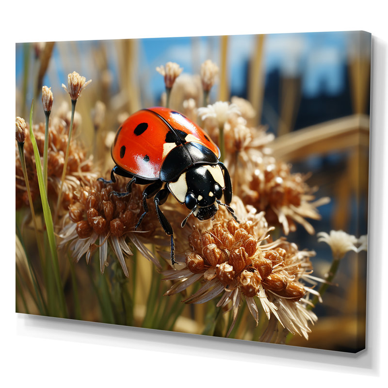 Coccinelle rouge aventureuse I - art de coccinelle, Toile tendue, H 34 po x l 44 po x P 1,5 po