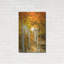 Aspen Glow par Jonathan Ross-1860408667