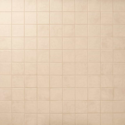 Stacy Garcia Delara 4.64 In. X 4.64 In. Matte Ceramic Wall Tile (5.38 Sq. Ft. / Case)