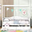 Canopy Day Bed With 2 Drawers-433764123