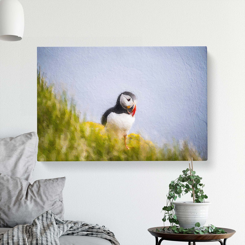 Lone Atlantic Puffin - Wrapped Canvas, 40cm H x 60cm W x 3cm D