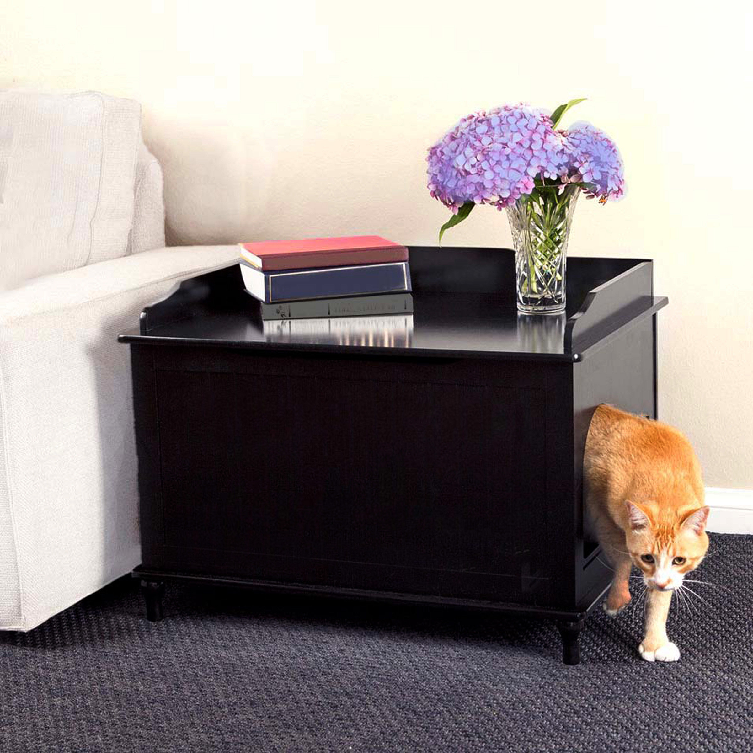 Black hotsell litter box