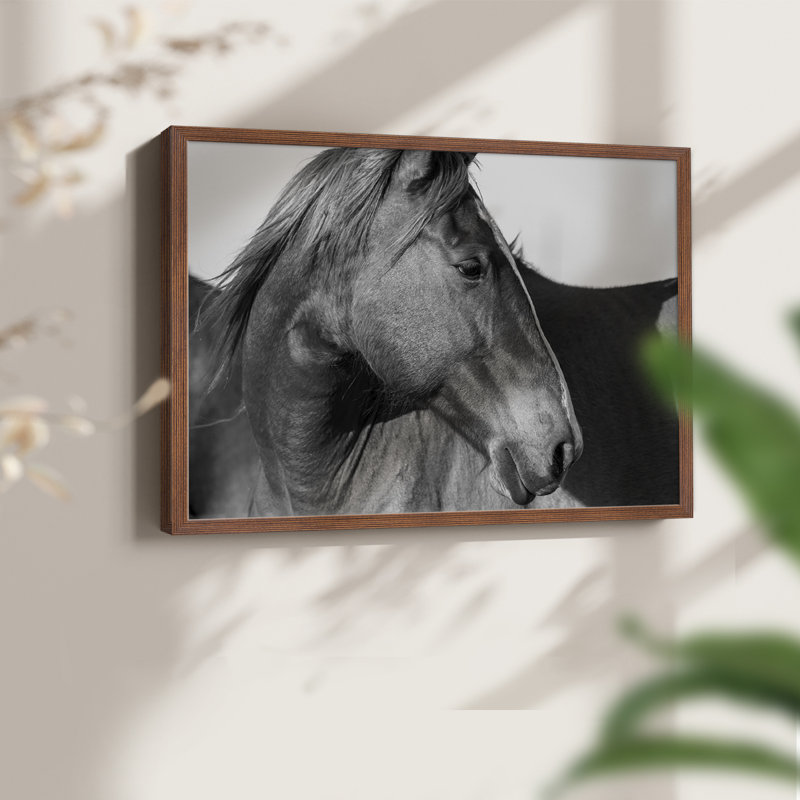 Cheval sauvage de Flint Hills - impression encadrée - réarmable, 22" H x 28" W, Noyer