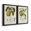 Vintage Pears I - ensemble de 2 impressions sur toile encadrées-654608073-654608075