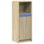 Shanerica Accent Cabinet-588309485