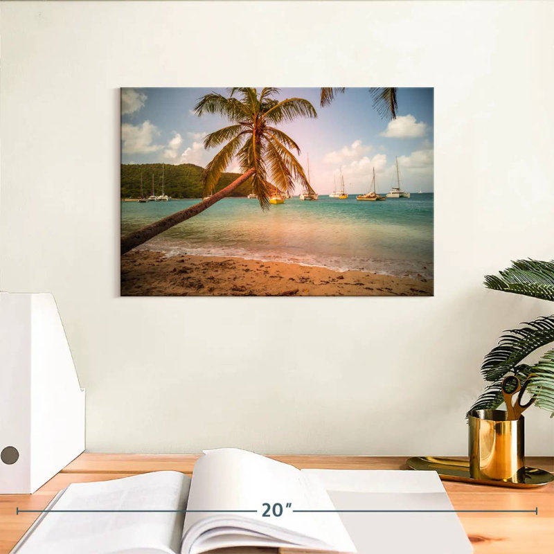 Tobago Cays Gillard Palm, H 8 po x l 12 po