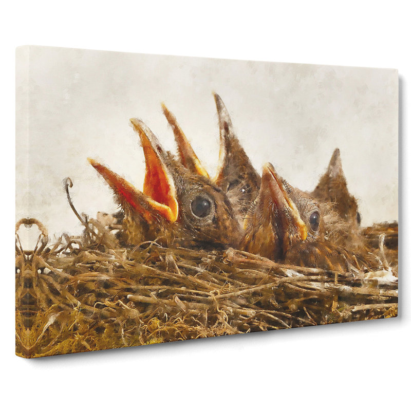 Baby Birds In The Nest - Wrapped Canvas, 40cm H x 60cm W x 3cm D