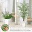 Plant-501445757