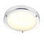 Frosted Glass Flush Mount