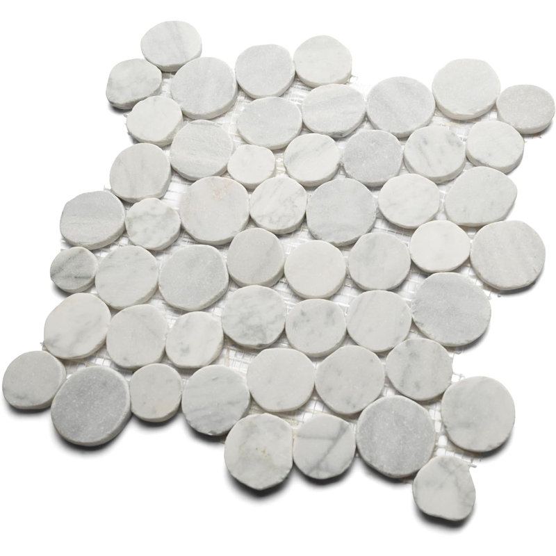 Carreau de mosaïque rond Super White Moon Stone Penny - trié à la main pour la salle de bain