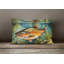 Brown Trout Throw Pillow