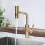 Belfry Kitchen Mallouk Pull Out Kitchen Faucet-1434976700
