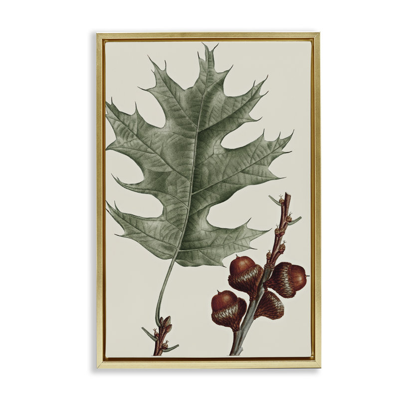  Toile flottante vintage encadrée avec feuilles de chêne par Graffi *ee Studios, H 31 po x l 21 po