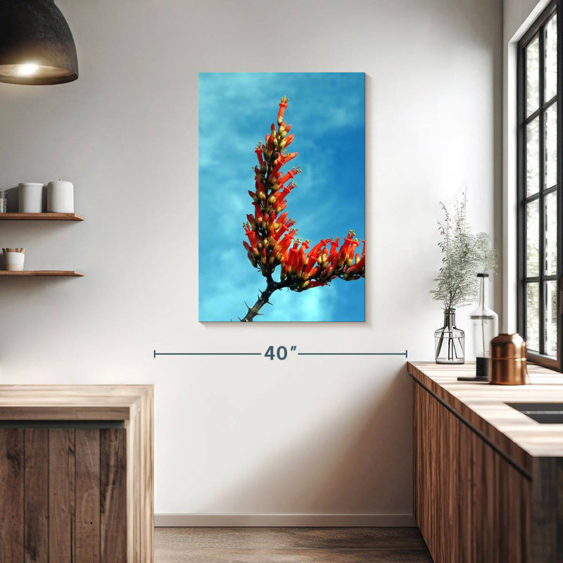 Flowering Ocotillo, 39" H x 26" W