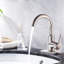 Robinet de salle de bain-118546053