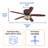 Arrietty 52'' Ceiling Fan with Light Kit