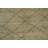 Trellis Moroccan Indian Area Rug 9x9
