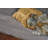 2' X 4' Polyester Grey Area Rug