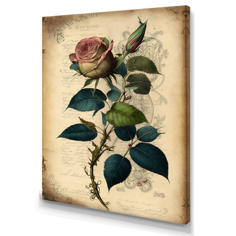 Art victorien rétro rose sur toile rose II, H 32 po x l 24 po x P 1 po, Toile tendue