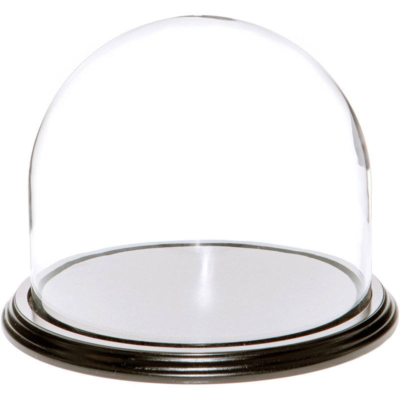 Jenett 8" x 6.5" Glass Display Dome Cloche, Black Wood Veneer Base