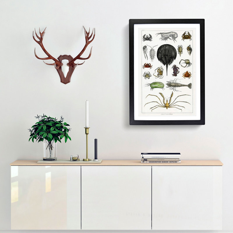 Crabs & Lobsters by Oliver Goldsmith - Picture Frame Painting Print, Black Framed, 65cm H x 48cm W x 2cm D