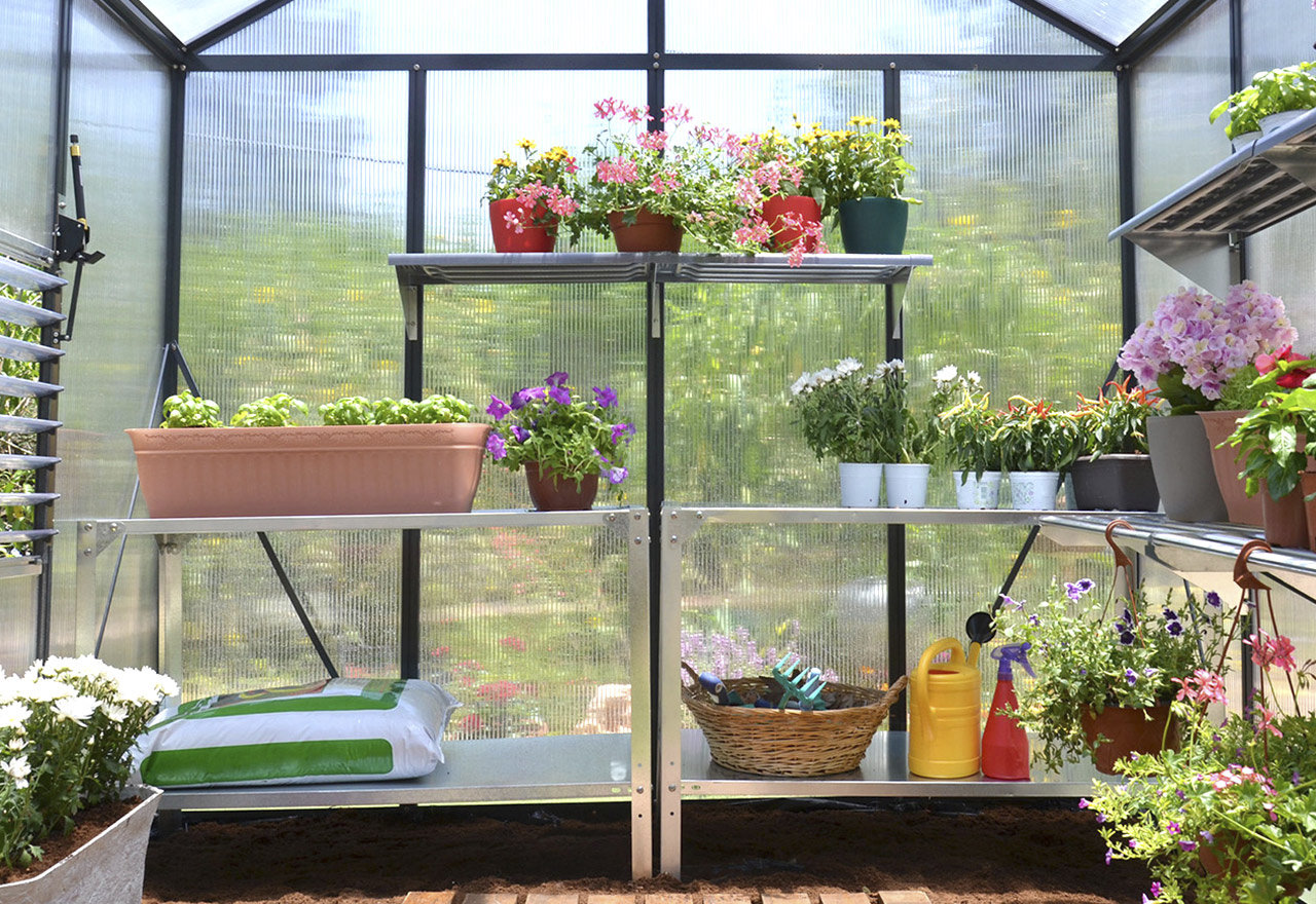 [BIG SALE] MustHaves for Your Greenhouse You’ll Love In 2024 Wayfair