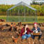 Cammock 65m² Chicken Coop