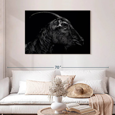 Monochrome Horned Goat