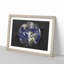 Satellite Image Of Earth - Picture Frame Graphic Art-56876695-56876702