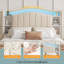 Structure de lit en velours avec tête de lit rabattable, jupe de lit assortie, lumières DEL et station de charge pour la chambre à coucher-130217839-130217841