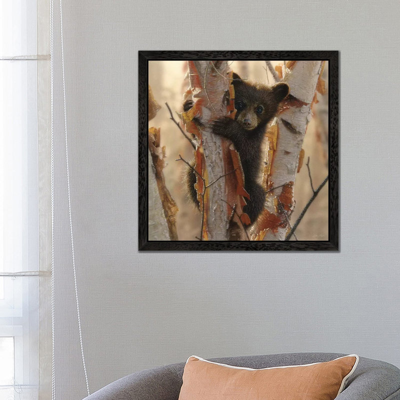 Bear Cub II - Painting on Canvas, 45.72 cm H x 45.72 cm W, Black Floater Framed