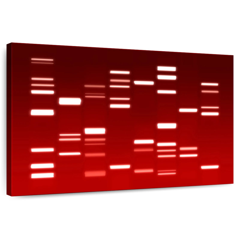 Keiri DNA Red, 26" H x 39" W