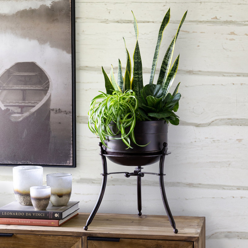 Portal Iron Planter