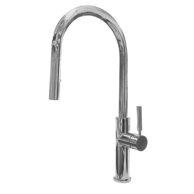 Valley Acrylic Ltd. Pull Down Kitchen Faucet