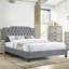 Magnifique lit de velours gris avec cadre de lit moderne capitonné et tête de lit-121061535-121061532