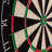 Professional Tournament Bristle Dartboard