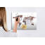 Magnetic Glass Dry Erase Board