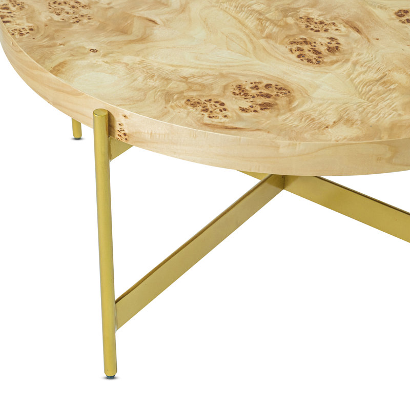 Debrah Modern Burl Wood Handcrafted Coffee Table