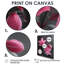 Fuchsia - Fuchsia-1071447993-1071447991
