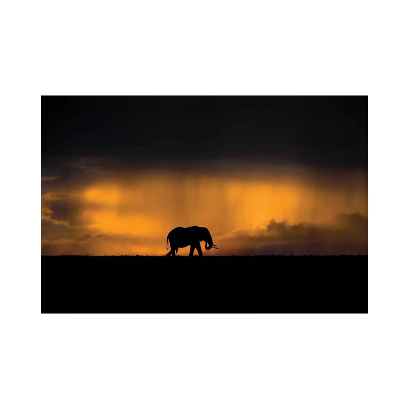 Elephant In A Rain Storm At Sunset by Xavier Ortega - Wrapped Canvas Gallery-Wrapped Canvas Giclée, 20.32 cm H x 30.48 cm W